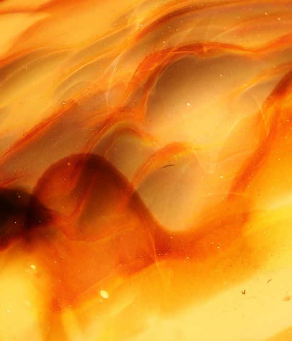 Abstract energy flow representing movement and balance